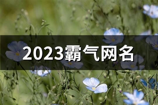 2023霸氣網名(733個)