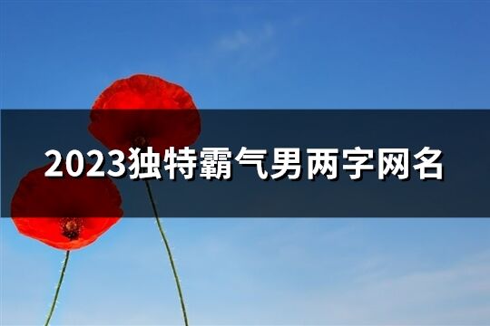 2023獨特霸氣男兩字網(wǎng)名(882個)