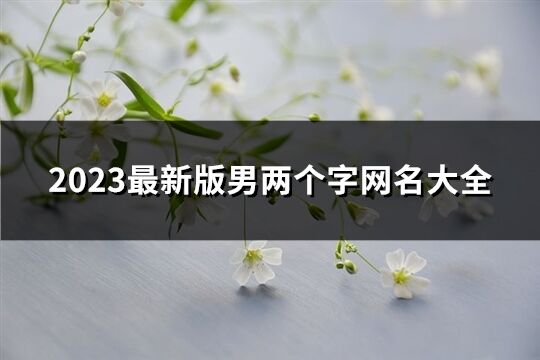 2023最新版男兩個字網名大全(共1035個)