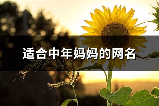 適合中年媽媽的網(wǎng)名(精選263個(gè))