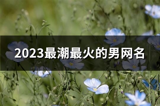 2023最潮最火的男網名(共749個)