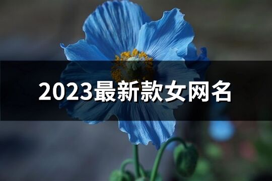 2023最新款女網名(精選926個)