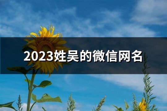 2023姓吳的微信網(wǎng)名(98個)