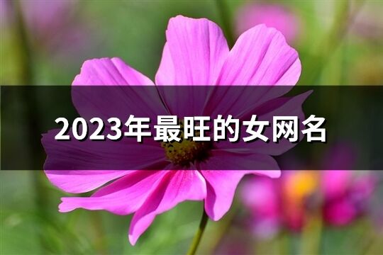 2023年最旺的女網名(共1158個)