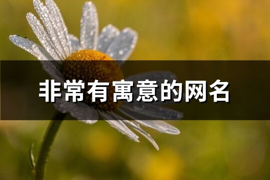 非常有寓意的網名(優選507個)