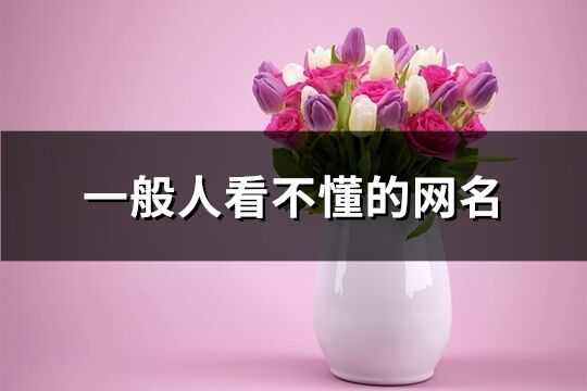 一般人看不懂的網名(219個)