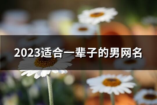 2023適合一輩子的男網(wǎng)名(優(yōu)選809個(gè))