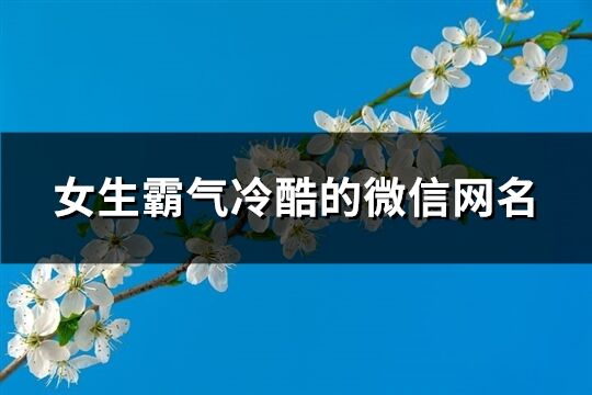 女生霸氣冷酷的微信網(wǎng)名(優(yōu)選219個(gè))