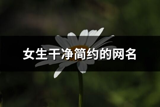 女生干凈簡約的網(wǎng)名(共861個)