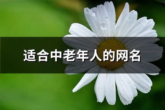 適合中老年人的網名(精選328個)