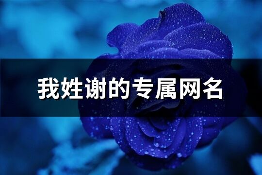我姓謝的專屬網名(59個)