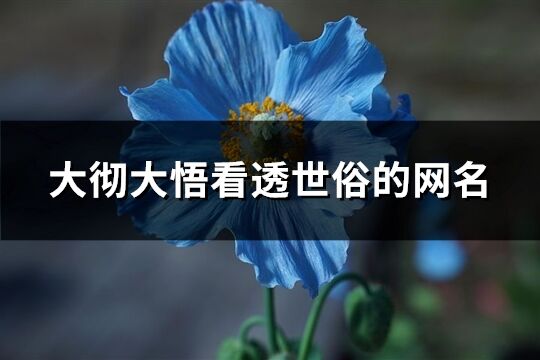大徹大悟看透世俗的網名(優選235個)