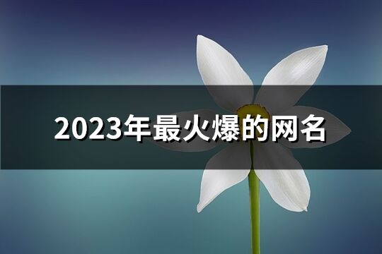 2023年最火爆的網名(精選885個)