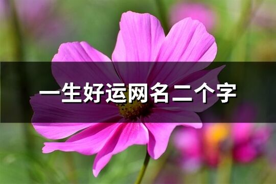 一生好運網名二個字(828個)