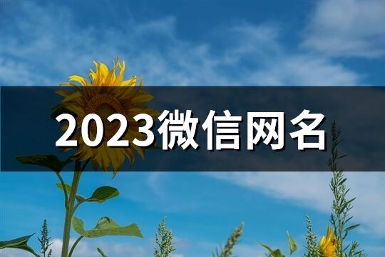 2023微信網(wǎng)名(3442個)