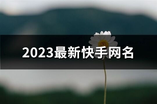2023最新快手網名(共690個)