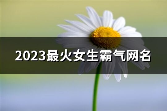 2023最火女生霸氣網(wǎng)名(共968個(gè))