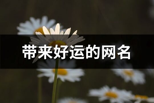 帶來好運的網名(優(yōu)選788個)