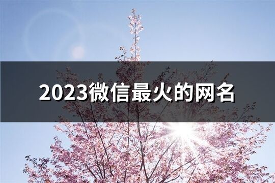2023微信最火的網名(745個)