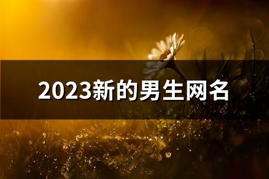 2023新的男生網(wǎng)名(精選709個)