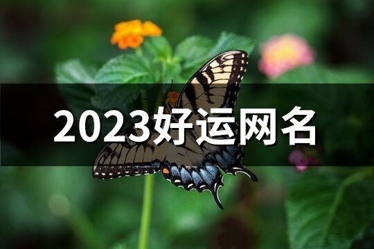 2023好運(yùn)網(wǎng)名(共676個(gè))