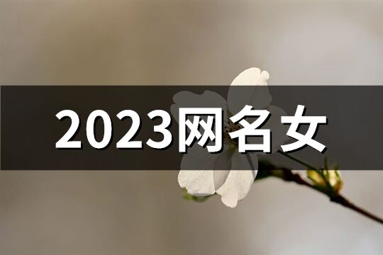 2023網名女(精選1003個)