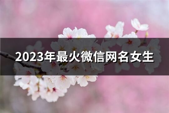 2023年最火微信網名女生(共840個)