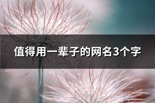 值得用一輩子的網名3個字(優選961個)
