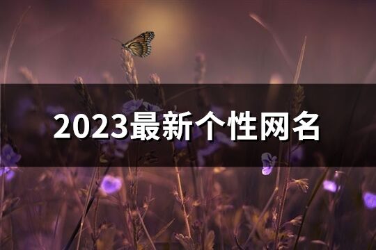2023最新個性網名(共2121個)