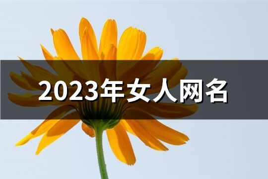 2023年女人網名(優選913個)