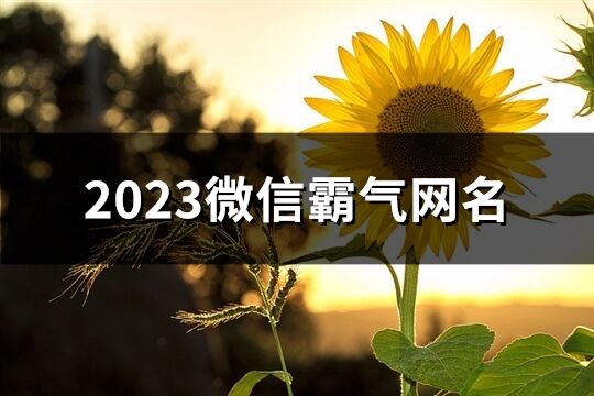 2023微信霸氣網名(643個)