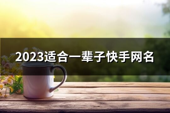 2023適合一輩子快手網名(共486個)