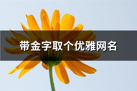 帶金字取個優(yōu)雅網(wǎng)名(100個)