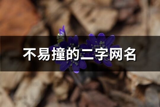 不易撞的二字網(wǎng)名(精選719個(gè))