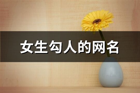 女生勾人的網名(優選336個)