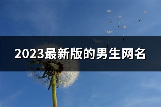 2023最新版的男生網名(1057個)