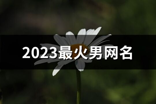 2023最火男網名(723個)
