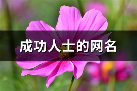 成功人士的網名(234個)