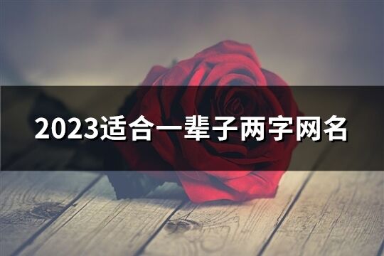 2023適合一輩子兩字網(wǎng)名(優(yōu)選994個(gè))