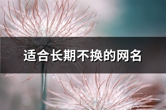 適合長期不換的網(wǎng)名(優(yōu)選893個)