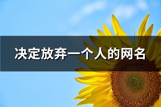 決定放棄一個(gè)人的網(wǎng)名(精選223個(gè))