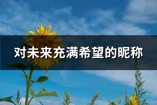 對未來充滿希望的昵稱(共83個)