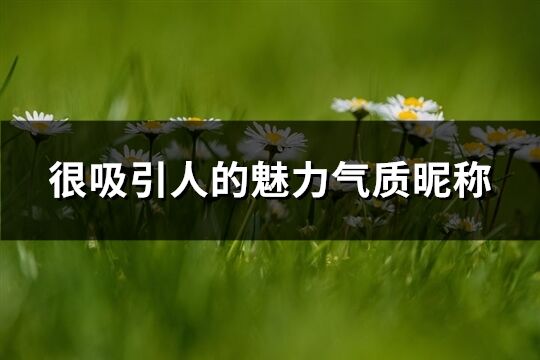 很吸引人的魅力氣質昵稱(338個)