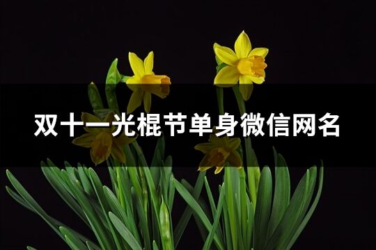 雙十一光棍節單身微信網名(共66個)