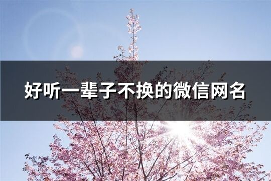 好聽一輩子不換的微信網名(精選760個)