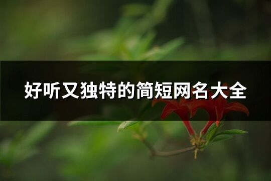 好聽(tīng)又獨(dú)特的簡(jiǎn)短網(wǎng)名大全(共609個(gè))