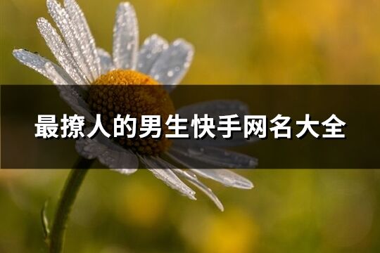 最撩人的男生快手網名大全(102個)