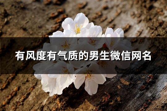 有風(fēng)度有氣質(zhì)的男生微信網(wǎng)名(精選597個(gè))