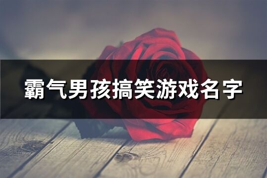 霸氣男孩搞笑游戲名字(共327個)