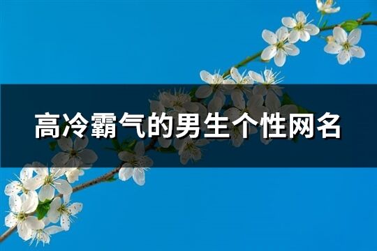 高冷霸氣的男生個(gè)性網(wǎng)名(精選569個(gè))
